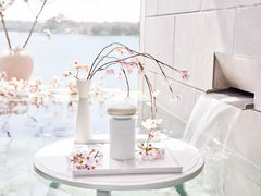 The Ritual of Sakura Shampoo & Body Bar