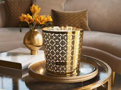 Mystic Cedar Scented Candle & Metal Window Gold sleeve 2500g