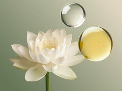 The Ritual of Jing Massage Oil