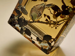 Refillable Hand Wash - Golden Bird