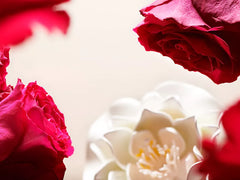 The Ritual of Namaste Cooling Eye Lotion