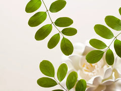 The Ritual of Namaste Velvety Smooth Cleansing Foam 30ml