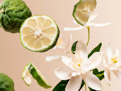 Positivity - Refill Scented Candle 360g