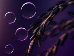 The Ritual of Yozakura Body Serum