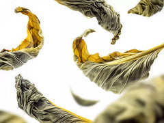 Royal Tea Refill Scented Candle 360g