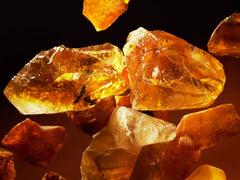 Precious Amber Refill Scented Candle 360g