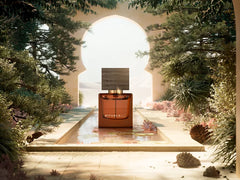 Travel - Maharaja d’Or