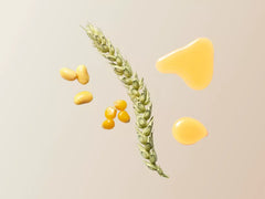 Phyto Keratin Recovery Hair Mask