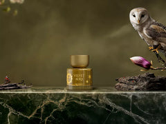 Velvet Aura Eau de Parfum 50ml