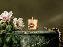 Intuitia Scented Candle