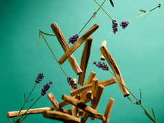 Jing Sleep Shower Foam Value Pack 2024