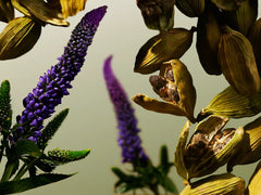 Travel - L'Essentiel