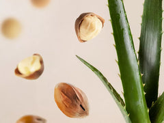 Fortune Balms - Blush