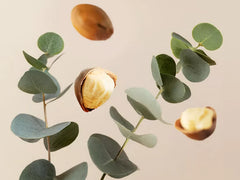 Fortune Balms - Repair