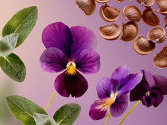 Travel - Voyage d'Ombre