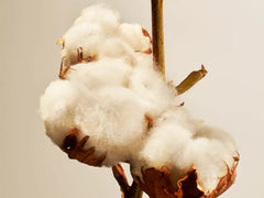 Cotton Blossom Refill Scented Candle 360g