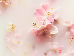 The Ritual of Sakura Scented Candle 290g